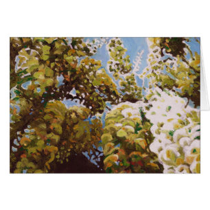 Vers le haut de dans les glycines 2011