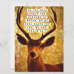 Verset biblique - Psaume 42:1