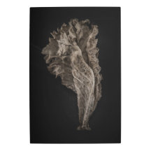 Version couleur feuille no 8