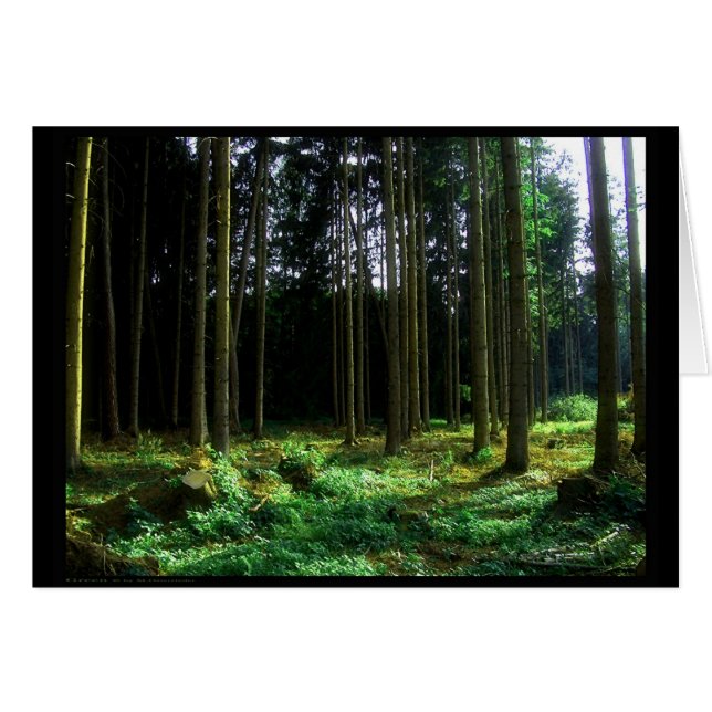 Vert (carte) (Devant horizontal)