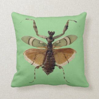 Vert de coussin d'insecte