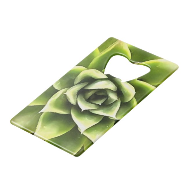 Vert Succulent Gros Plan Cactus (Dos Angle)