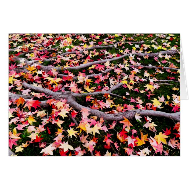 Very Colorful Maple Leaves (Devant horizontal)