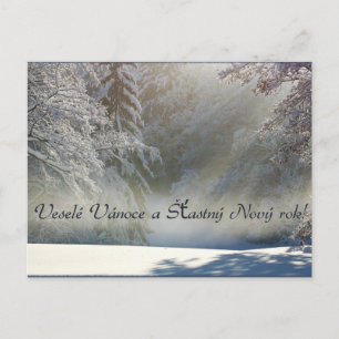 Veselé Vánoce a Šÿastný Nový rok ! Carte postale