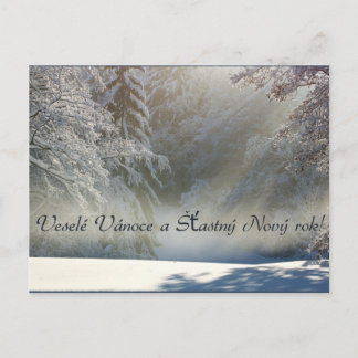 Veselé Vánoce a Šÿastný Nový rok ! Carte postale