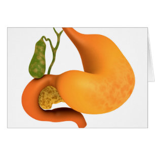 Vessie à galle à estomac