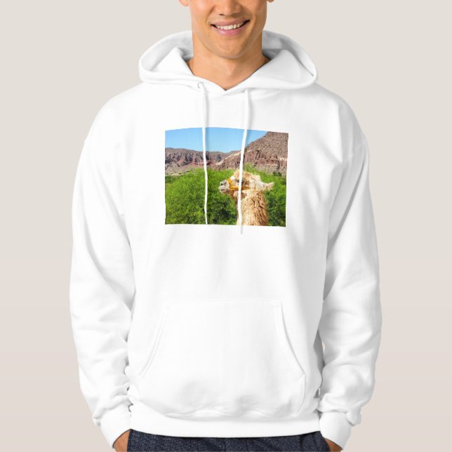 Veste À Capuche Alpaga près de Salta, Argentine (Devant)