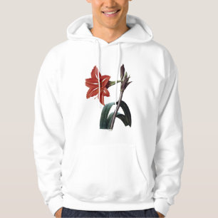 Veste À Capuche Amaryllis barrée