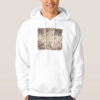 Veste À Capuche Au delà de Paisley