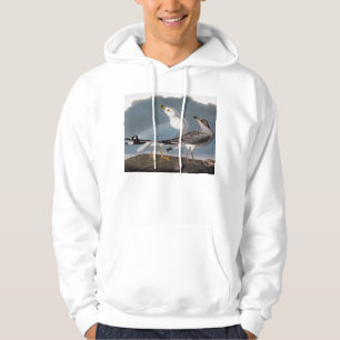 Veste À Capuche Audubon : Mouette Anneau-Affichée