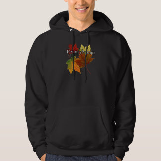 VESTE À CAPUCHE AUTOMNE QUITTE EN PENNSYLVANIE