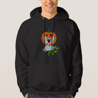 Veste À Capuche Bébé Koala Avec Casque De Citrouille Costume D'Hal