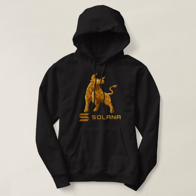Veste À Capuche Bull Market Solana SOL Crypto Coin HODL (Design devant)