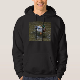 Veste À Capuche Canard de Mallard/sweatshirt à capuchon coton de