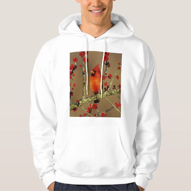 Veste À Capuche Cardinal rouge mâle perché, IL (Devant)