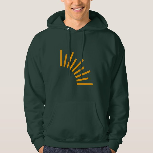 Veste À Capuche D sweatshirt à capuche homme - diverses couleurs,  (Devant)
