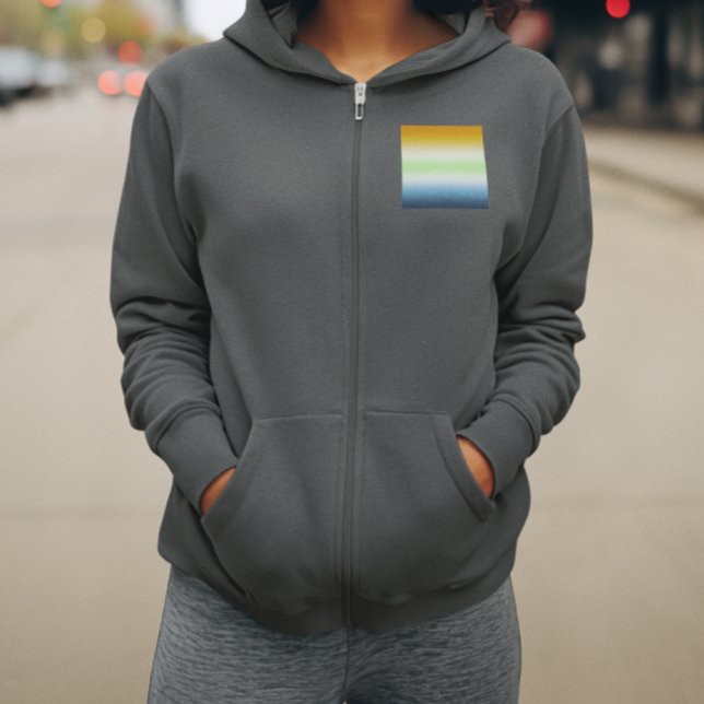 Veste À Capuche Dégradé de fierté AroAce agender (Créateur téléchargé)