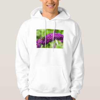 Veste À Capuche énergie katydone