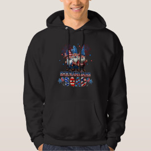 Veste À Capuche Équipe Shenanigans 4 juillet Gnomes Drapeau USA Ho