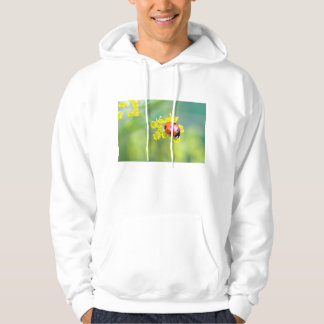 Veste À Capuche femme au sommet