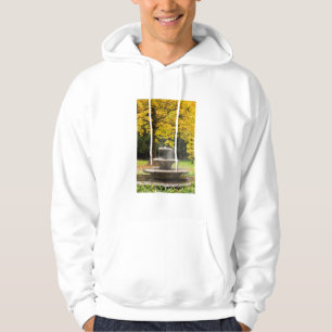 Veste À Capuche Fontaine près d'un arbre en automne, Allemagne