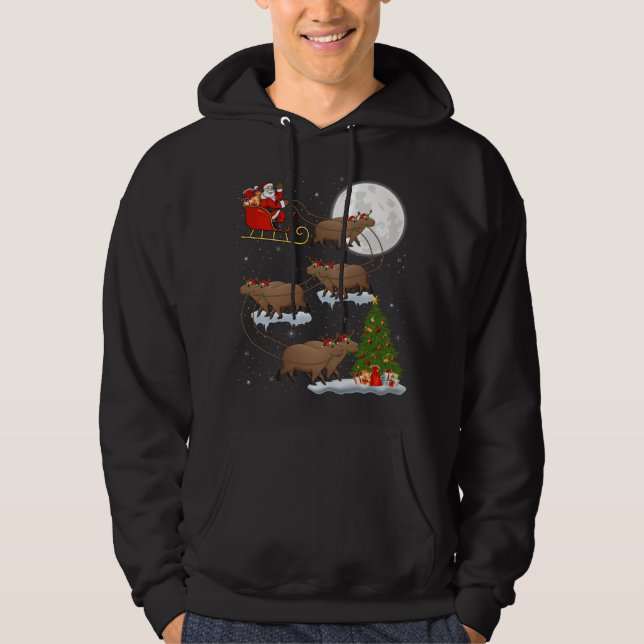 Veste À Capuche Funny Xmas Éclairage Arbre Père Noël équitation Ca (Devant)