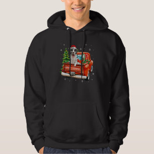Veste À Capuche Harlequin Grand Danois Carrousel Roue Camion Noël