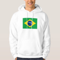 Le Brésil - drapeau national brésilien