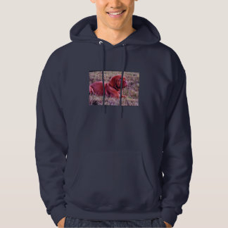 Veste À Capuche Mastiff français