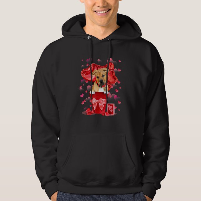 Veste À Capuche Mélange de Pitbull Boxer dans un pot rouge Joyeuse (Devant)