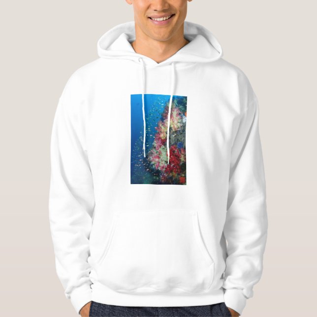 Veste À Capuche Récif de corail sous-marin, Indonésie (Devant)