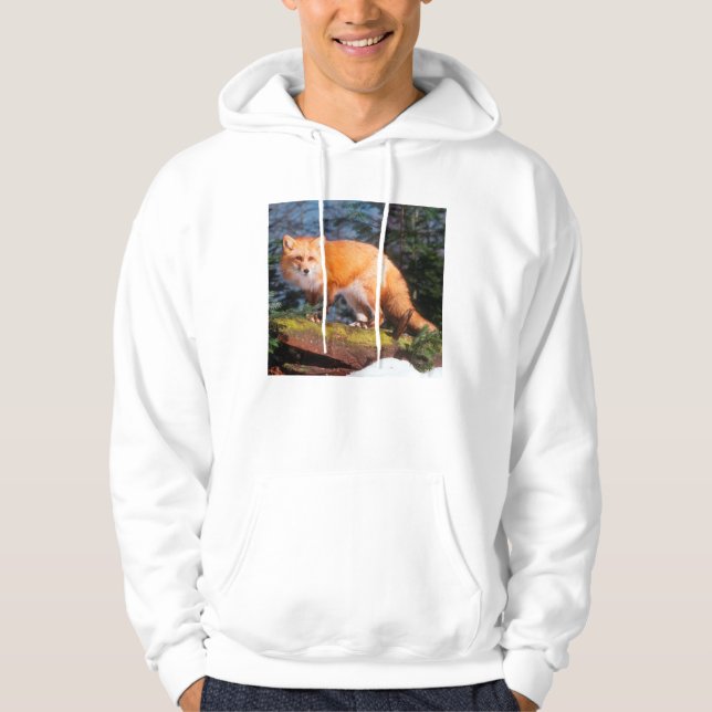 Veste À Capuche Renard roux sur une bûche (Devant)
