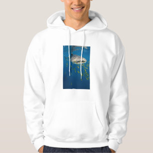 Veste À Capuche Requin baleine avec des poissons, Indonésie