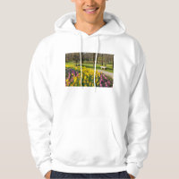 Spring Season Flower Garden