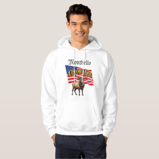 Veste À Capuche Sweat-shirt à capuche pour hommes Colorado