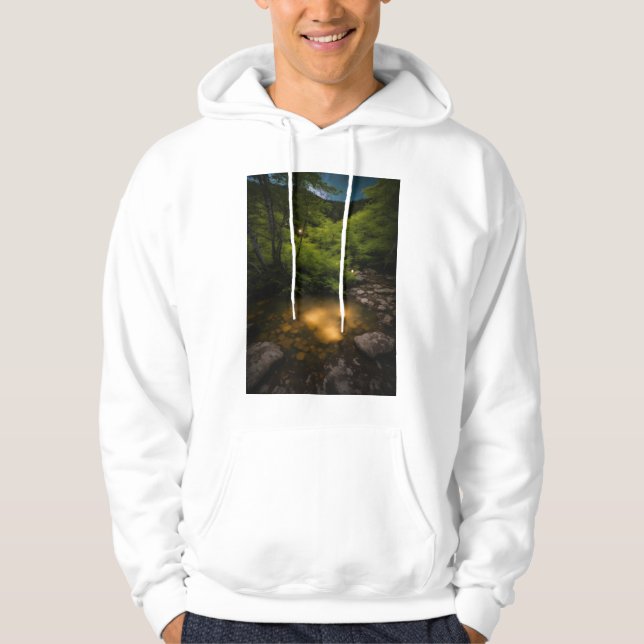Veste À Capuche Sweatshirt japonais des sources chaudes (Devant)
