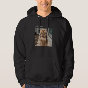 Veste À Capuche T-shirt de chat mème Chat mignon drôle Kitty Miaou