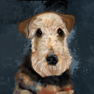 VESTE À CAPUCHE TERRIER AIREDALE