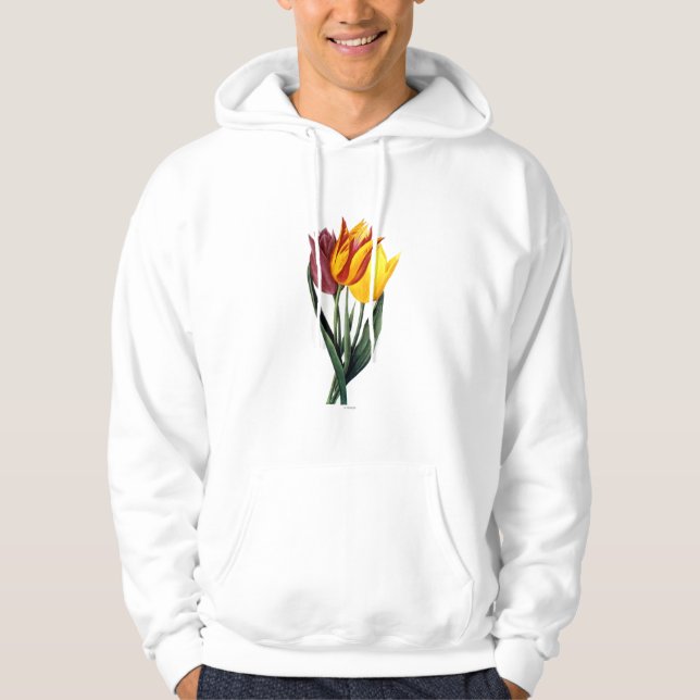 Veste À Capuche Tulipe (Tulipa Gesneriana) (Devant)