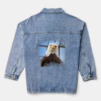 Aigle chauve drôle Stare Faune Humour Nature Moder