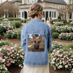 Veste En Jean Entité endormie : jeune chien de berger alsacien,