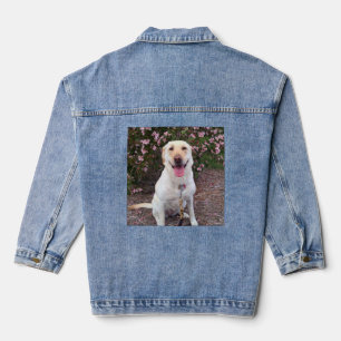 Veste En Jean Grin