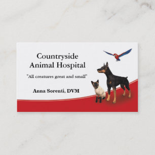Vétérinaire et Carte de visite de soins aux animau