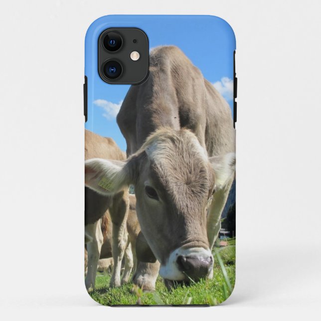 Viande de vache iPhone 5 coque (Dos)