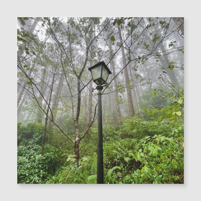 Vibes portugaises (Devant)