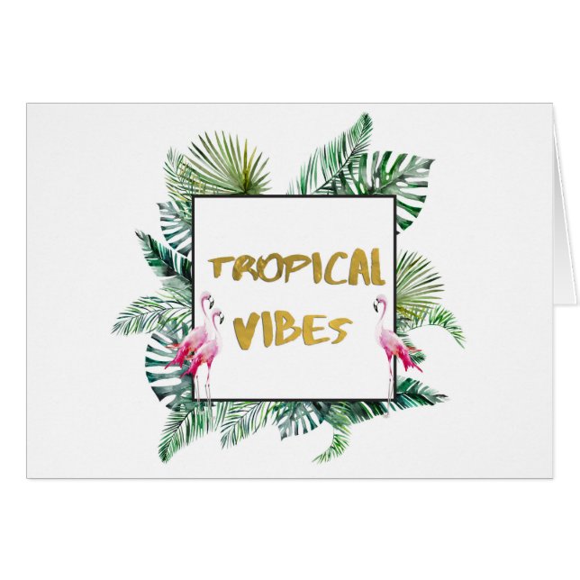 Vibes tropicales (Devant Horizontal)