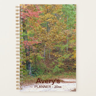 Vibrant Automne Quitte Mountain Road Custom