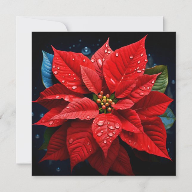 Vibrant Noël Poinsettia carte de voeux (Devant)