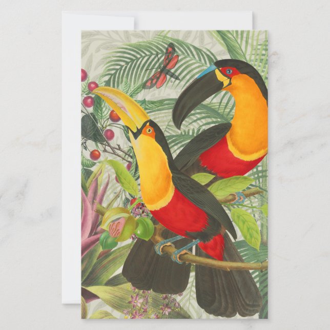 Vibrant Tropical Toucan Birds Art Exotic Jungle (Devant)
