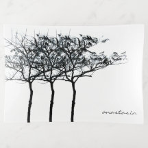 arbre